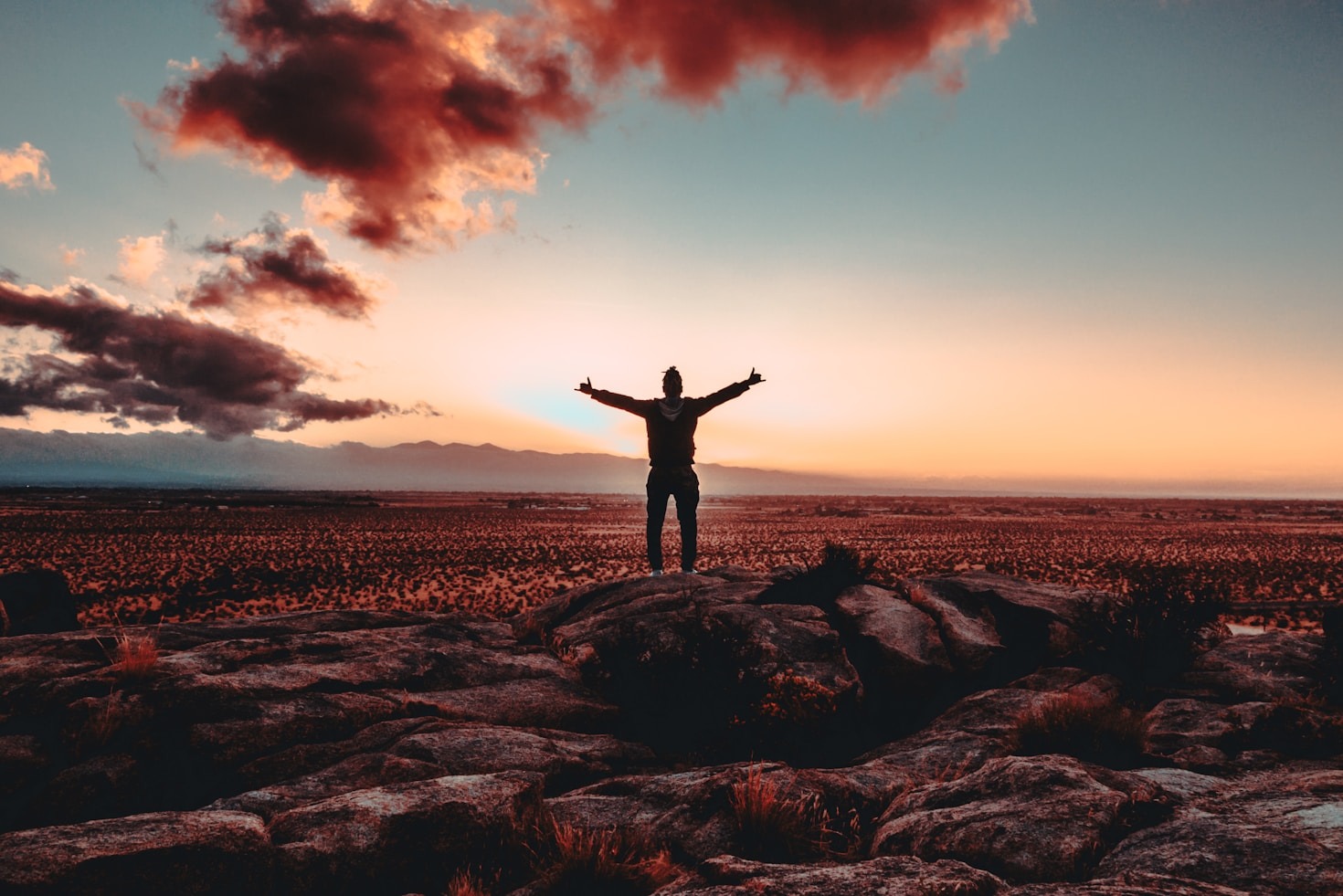 Cara Membangun Mindset Positif untuk Karir Sukses